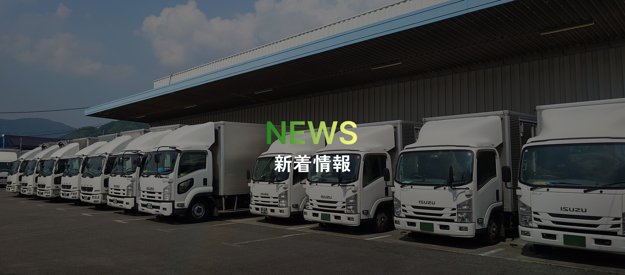 新着情報
